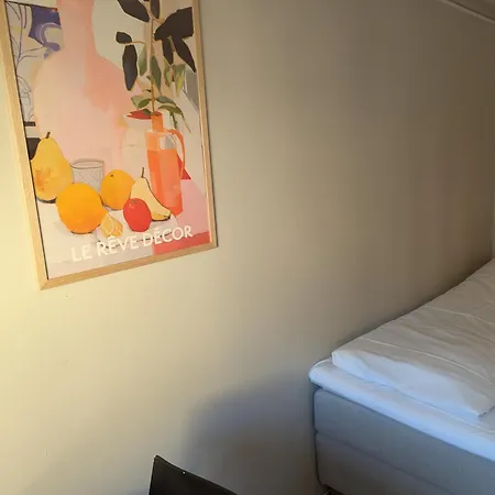 Hotel Dølaheimen 2*